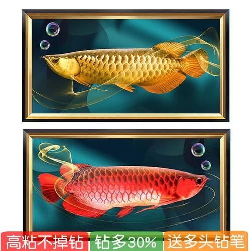 有沒有高清的黃金龍魚圖片？（探索高清黃金龍魚圖片的世界）