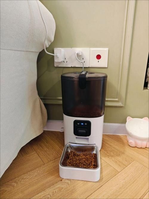 有哪些智能喂食器推薦？（好用的高性價比智能喂食器品牌推薦） 有哪些智能喂食器推薦？（好用的高性價比智能喂食器品牌推薦） 龍魚百科 第2張