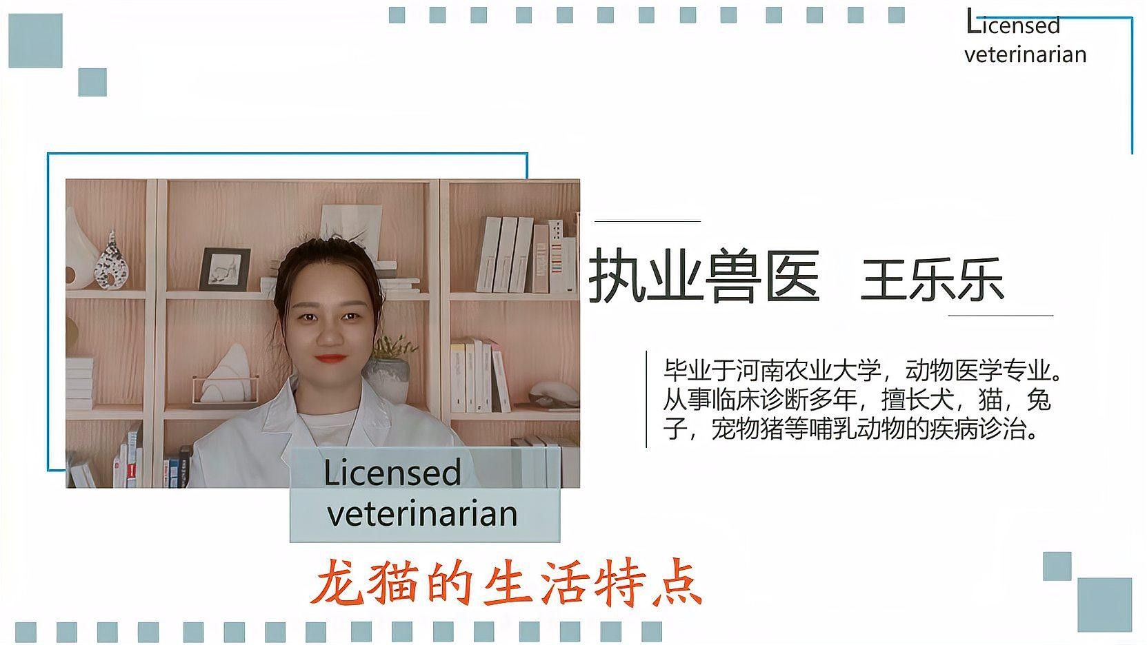 龍貓白天應該如何安排活動？（龍貓白天應該如何安排活動） 龍貓白天應該如何安排活動？（龍貓白天應該如何安排活動） 龍魚百科 第3張