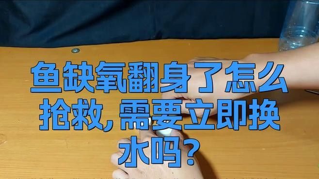 紅龍魚缺氧后多久會(huì)恢復(fù)（紅龍魚缺氧后多久恢復(fù)正常）