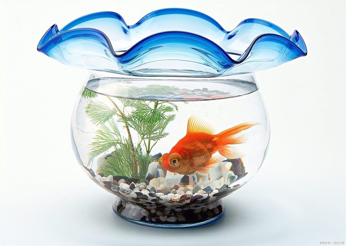 混養(yǎng)時如何維持穩(wěn)定的水質(zhì)（魚缸混養(yǎng)打架少這些方法讓水質(zhì)穩(wěn)定，情緒更平和雅集知識堂）