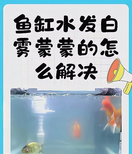 混養(yǎng)時如何維持穩(wěn)定的水質(zhì)（魚缸混養(yǎng)打架少這些方法讓水質(zhì)穩(wěn)定，情緒更平和雅集知識堂）