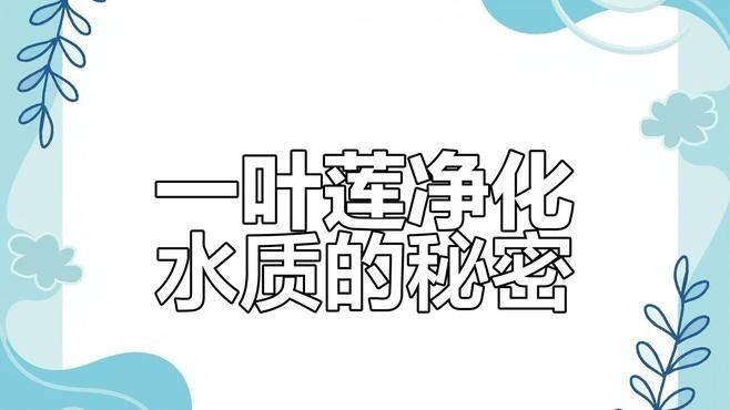 混養(yǎng)時如何維持穩(wěn)定的水質(zhì)（魚缸混養(yǎng)打架少這些方法讓水質(zhì)穩(wěn)定，情緒更平和雅集知識堂）