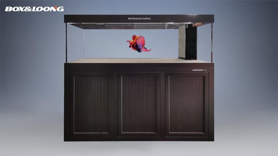 博世龍魚缸有自動恒溫功能嗎（博世龍魚缸具備自動恒溫功能） 博世龍魚缸有自動恒溫功能嗎（博世龍魚缸具備自動恒溫功能） 龍魚百科 第2張