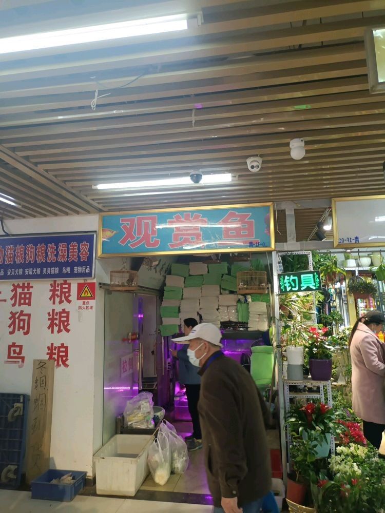 哪里可以購買到博世龍魚缸（北京博世龍魚缸如何選擇專業龍缸龍魚缸定做維修）