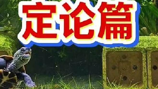 草龜和金魚混養需要多大的魚缸？（草龜和金魚混養的魚缸大小取決于多種因素）