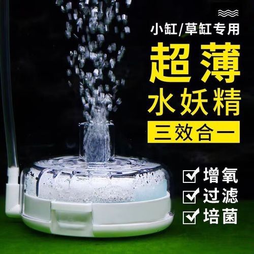 雷龍魚缸過濾器的選擇（雷龍魚缸過濾器選擇技巧雷龍魚缸過濾選擇技巧）