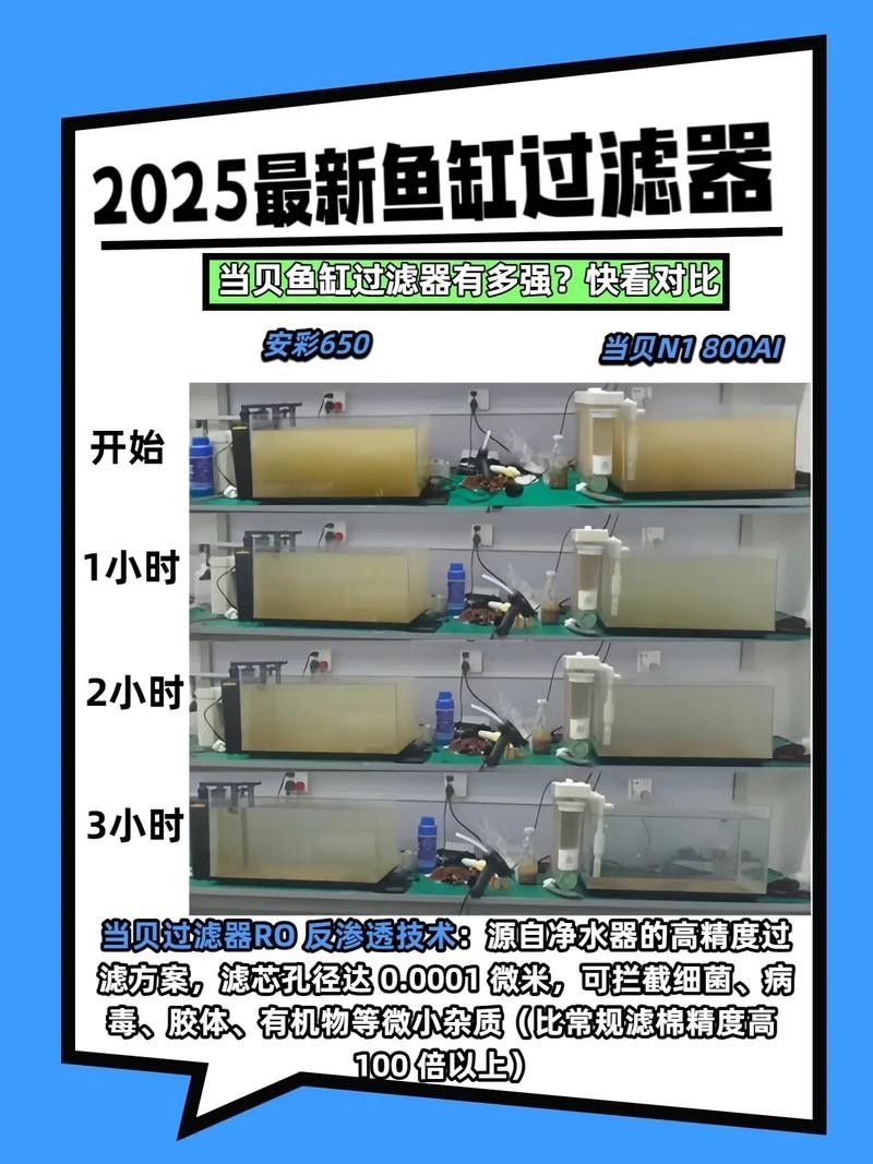 雷龍魚缸過濾器的選擇（雷龍魚缸過濾器選擇技巧雷龍魚缸過濾選擇技巧）