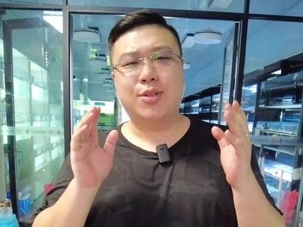 福龍魚有哪些品種？（福龍魚的種類及種類介紹）