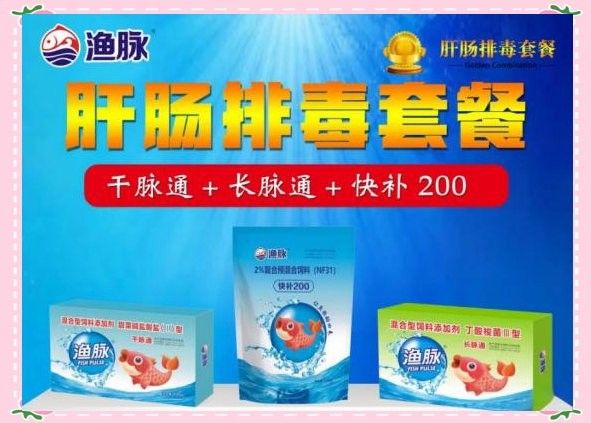 龍魚腸炎期間如何保持水質穩定（龍魚得了腸炎怎么辦） 龍魚腸炎期間如何保持水質穩定（龍魚得了腸炎怎么辦） 龍魚百科 第4張