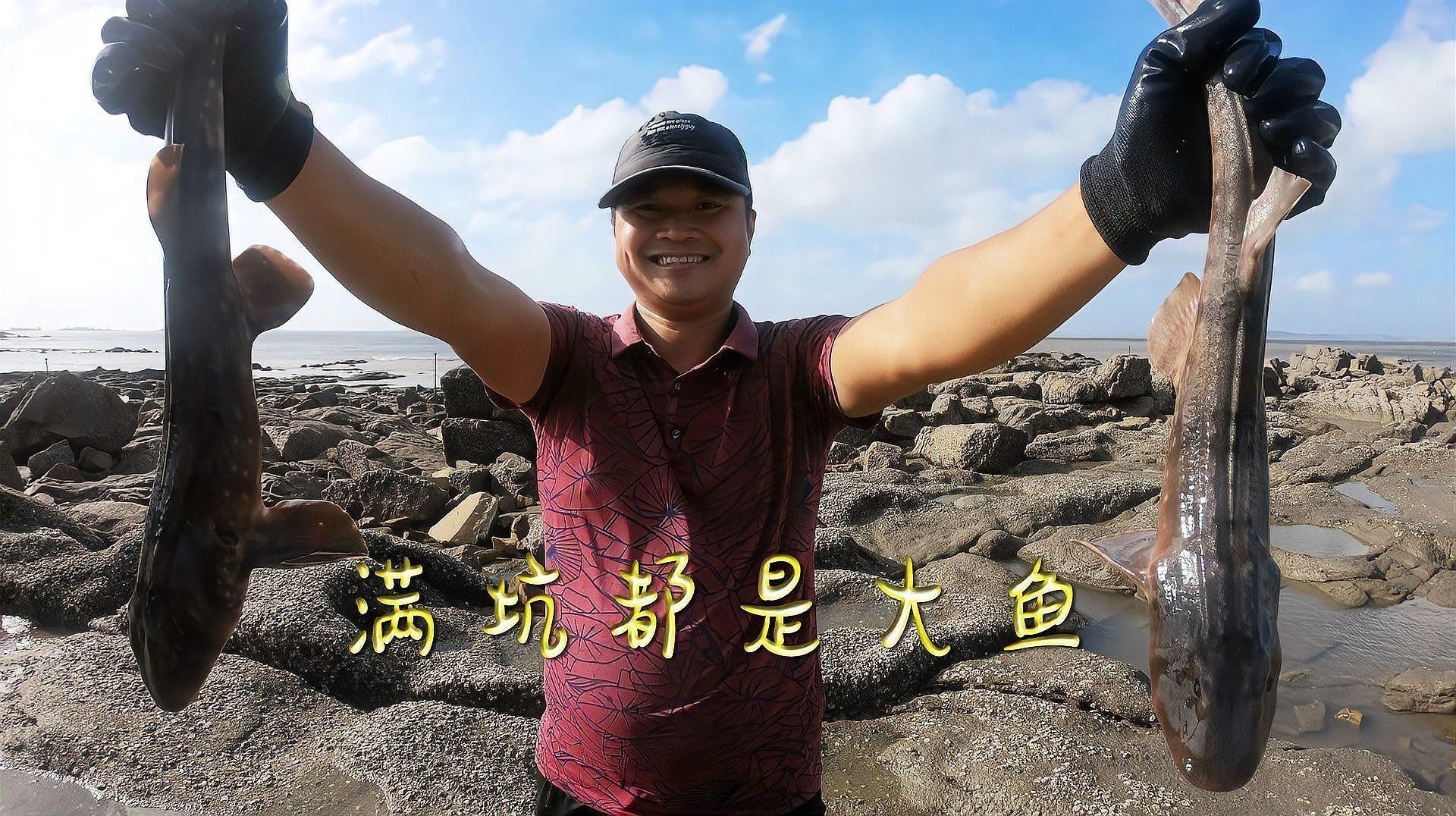 巨龍魚有哪些捕食技巧？（巨龍魚的成長歷程）
