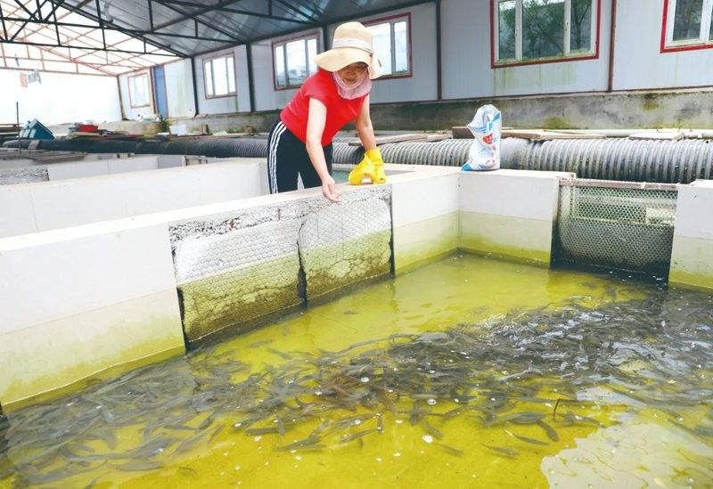 如何聯系到呼倫貝爾龍魚養殖基地？（關于呼倫貝爾龍魚養殖基地的聯系方式）