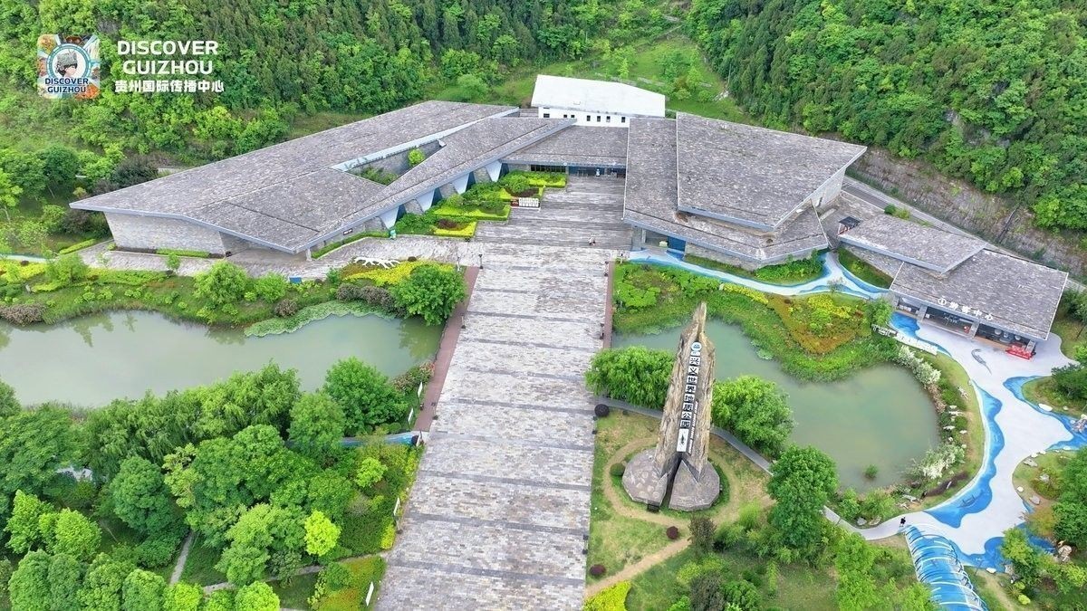 如何判斷秀尼魚龍化石的真偽（喜馬拉雅魚龍化石再現真容新京報時隔半個多世紀）