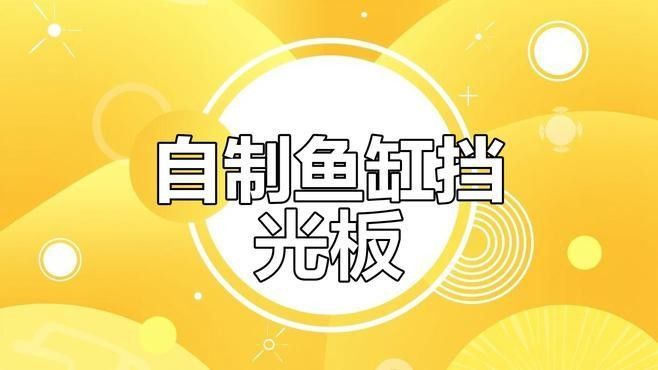 如何自制魚缸隔板？（制作魚缸隔板的步驟）