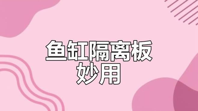 如何自制魚缸隔板？（制作魚缸隔板的步驟）