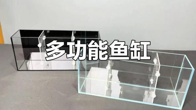 如何自制魚缸隔板？（制作魚缸隔板的步驟）