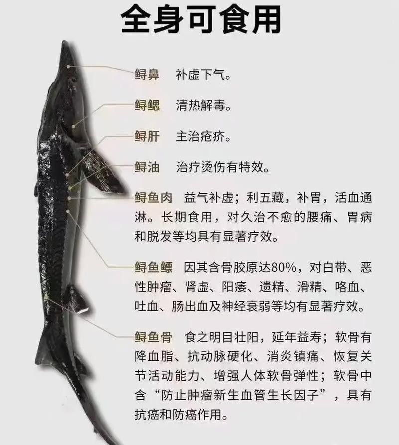 如何判斷鱘龍魚(yú)是否新鮮(怎樣判斷鱘魚(yú)是否新鮮) 龍魚(yú)百科 第5張 如何判斷鱘龍魚(yú)是否新鮮(怎樣判斷鱘魚(yú)是否新鮮) 如何判斷鱘龍魚(yú)是否新鮮(怎樣判斷鱘魚(yú)是否新鮮) 龍魚(yú)百科 第5張