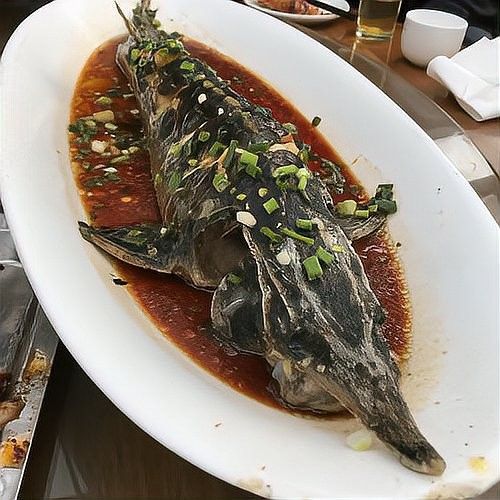 如何判斷鱘龍魚(yú)是否新鮮（怎樣判斷鱘魚(yú)是否新鮮） 如何判斷鱘龍魚(yú)是否新鮮（怎樣判斷鱘魚(yú)是否新鮮） 龍魚(yú)百科 第10張