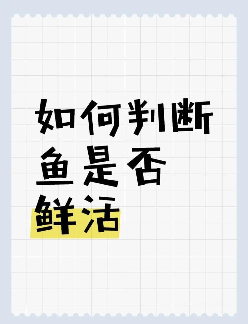 如何判斷鱘龍魚(yú)是否新鮮（怎樣判斷鱘魚(yú)是否新鮮） 如何判斷鱘龍魚(yú)是否新鮮（怎樣判斷鱘魚(yú)是否新鮮） 龍魚(yú)百科 第9張