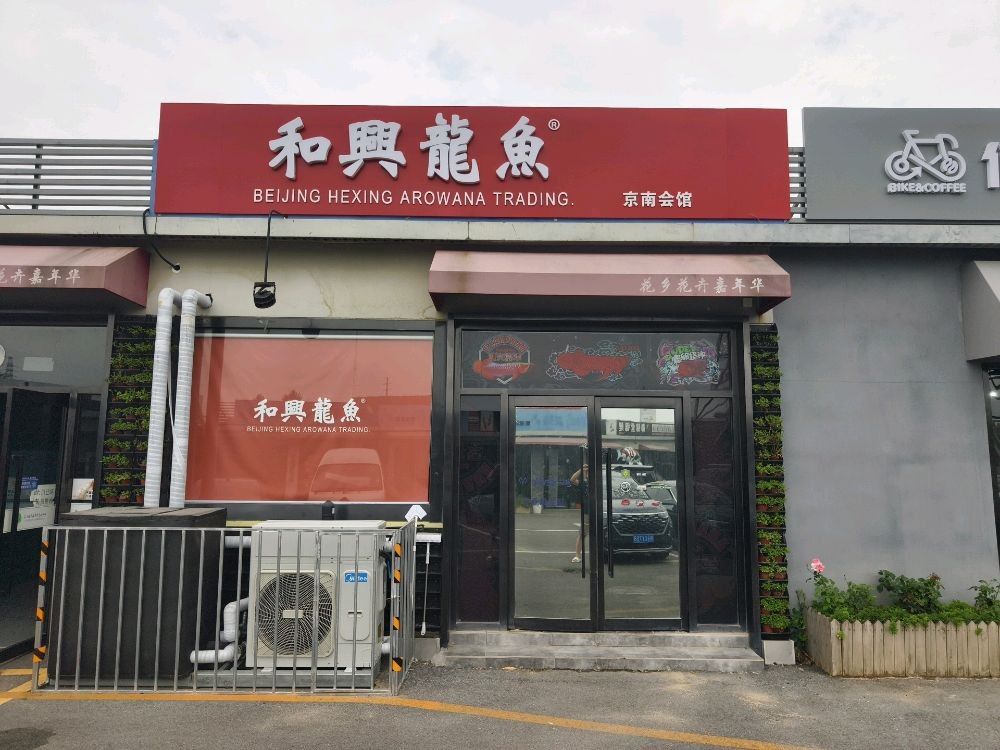 北京和興龍魚貿易的總部在哪里？（北京和興龍魚貿易總部位置） 北京和興龍魚貿易的總部在哪里？（北京和興龍魚貿易總部位置） 龍魚百科 第2張