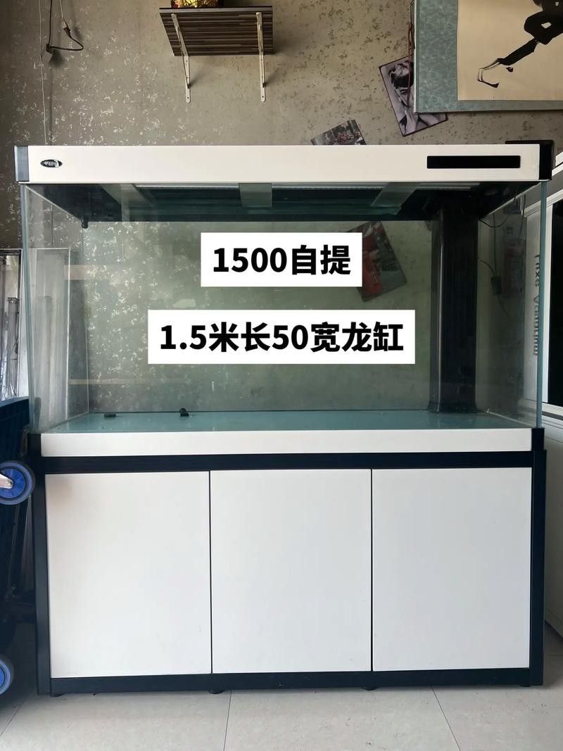 50寬魚缸可以養哪些品種的龍魚（50厘米寬的魚缸適合養什么魚）