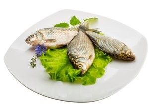 金龍魚水霉病會傳染嗎？（龍魚水霉病是怎么引起的） 金龍魚水霉病會傳染嗎？（龍魚水霉病是怎么引起的） 龍魚百科 第2張