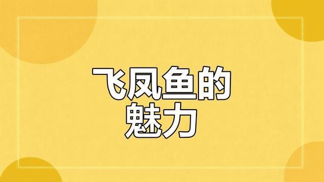飛鳳魚吸食病魚體表怎么辦？（飛鳳魚吸食病魚體表會傳染嗎飛鳳魚吸食病魚體表應對措施）