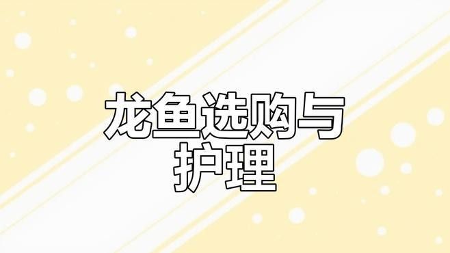如何判斷魚缸是否適合養龍魚（如何判斷魚缸是否適合養龍魚生長，最全攻略） 如何判斷魚缸是否適合養龍魚（如何判斷魚缸是否適合養龍魚生長，最全攻略） 龍魚百科 第12張