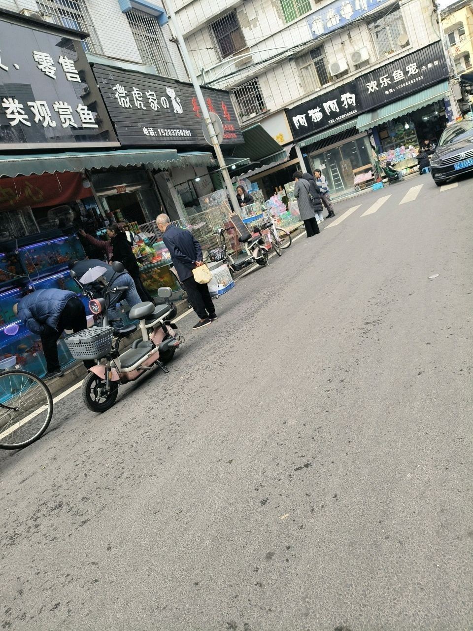 眉山哪個(gè)水族館龍魚好？祥龍魚場(chǎng)龍魚（四川省眉山市“祥龍魚場(chǎng)”） 眉山哪個(gè)水族館龍魚好？祥龍魚場(chǎng)龍魚（四川省眉山市“祥龍魚場(chǎng)”） 龍魚百科 第7張