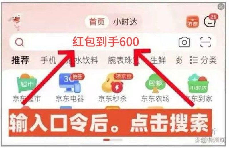 如何在天貓京東旗艦店領取促銷券（天貓京東旗艦店如何領取促銷券？） 如何在天貓京東旗艦店領取促銷券（天貓京東旗艦店如何領取促銷券？） 龍魚百科 第15張