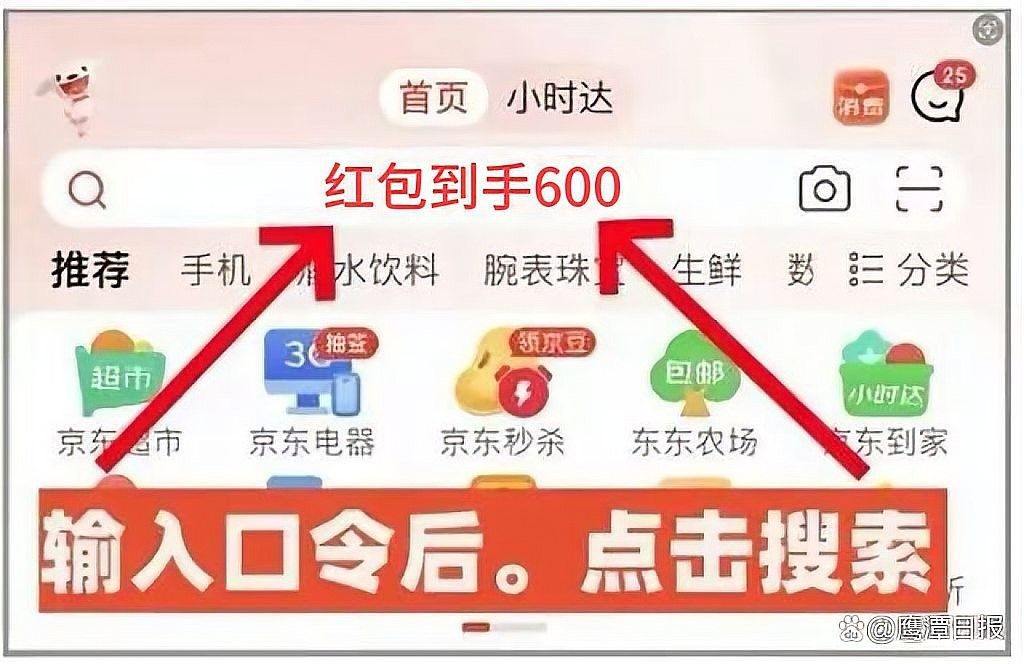 如何在天貓京東旗艦店領取促銷券（天貓京東旗艦店如何領取促銷券？） 如何在天貓京東旗艦店領取促銷券（天貓京東旗艦店如何領取促銷券？） 龍魚百科 第10張