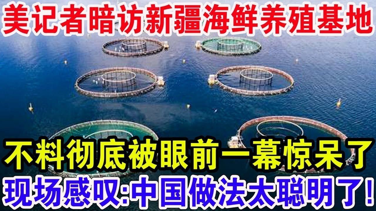 基地的養(yǎng)殖周期是多久？（養(yǎng)殖基地養(yǎng)殖周期分析）
