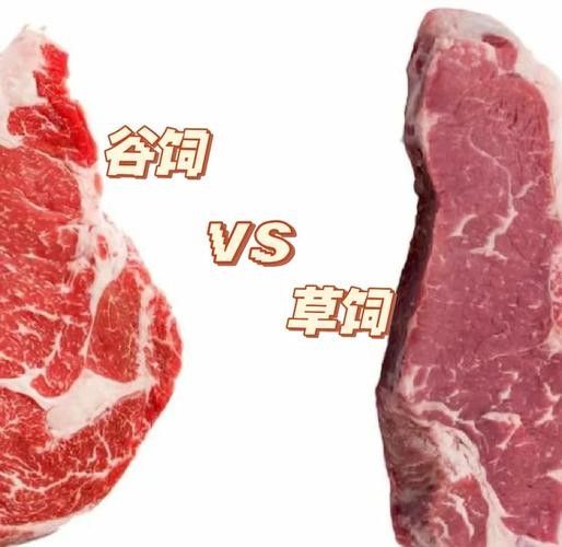 如何區分草飼牛肉和谷飼牛肉？（草飼牛肉和谷飼牛有什么區別） 如何區分草飼牛肉和谷飼牛肉？（草飼牛肉和谷飼牛有什么區別） 龍魚百科 第6張