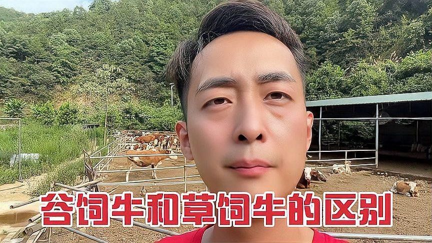 如何區分草飼牛肉和谷飼牛肉？（草飼牛肉和谷飼牛有什么區別） 如何區分草飼牛肉和谷飼牛肉？（草飼牛肉和谷飼牛有什么區別） 龍魚百科 第8張