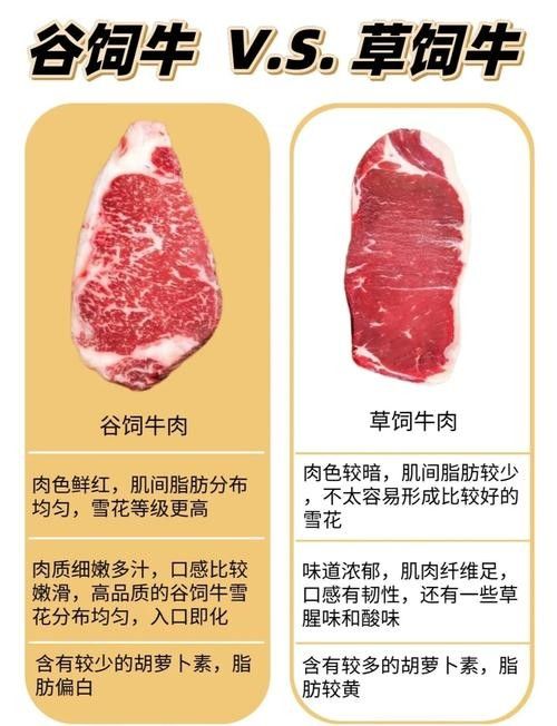 如何區分草飼牛肉和谷飼牛肉？（草飼牛肉和谷飼牛有什么區別） 如何區分草飼牛肉和谷飼牛肉？（草飼牛肉和谷飼牛有什么區別） 龍魚百科 第1張