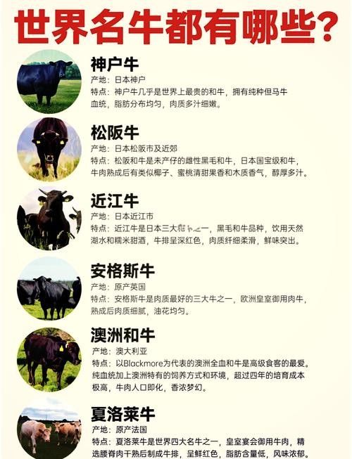 如何區分草飼牛肉和谷飼牛肉？（草飼牛肉和谷飼牛有什么區別） 如何區分草飼牛肉和谷飼牛肉？（草飼牛肉和谷飼牛有什么區別） 龍魚百科 第3張