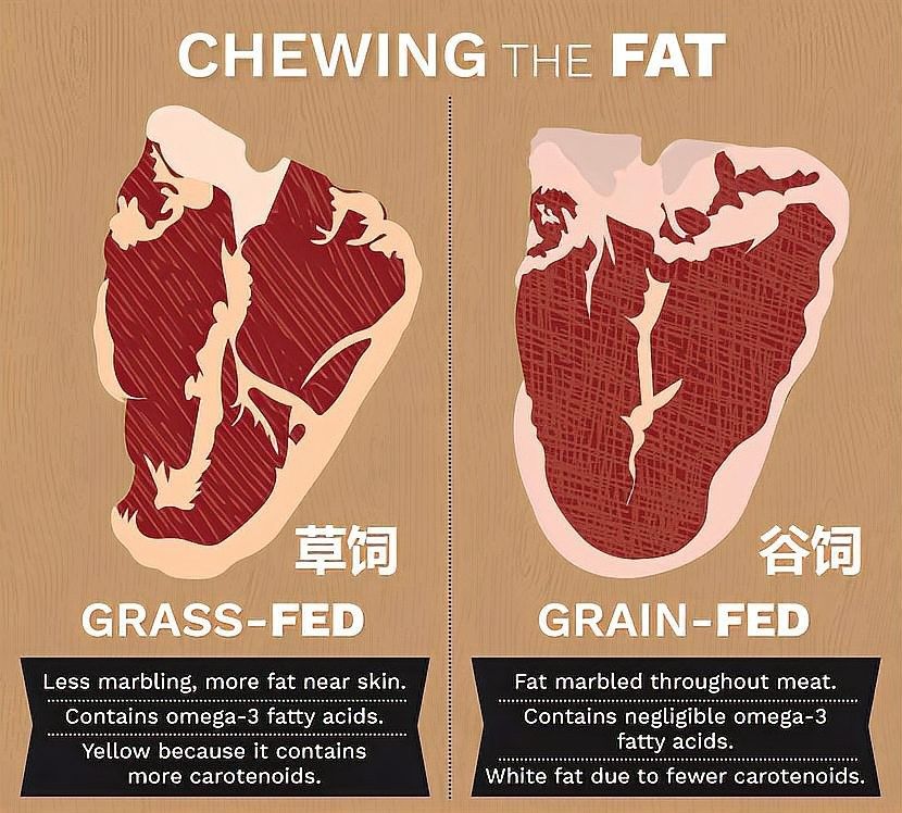 如何區分草飼牛肉和谷飼牛肉？（草飼牛肉和谷飼牛有什么區別） 如何區分草飼牛肉和谷飼牛肉？（草飼牛肉和谷飼牛有什么區別） 龍魚百科 第11張