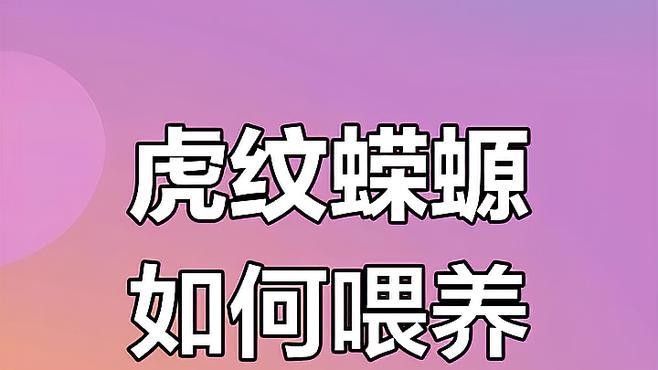 幼體虎紋恐龍魚(yú)多久喂一次（體虎紋恐龍魚(yú)的喂養(yǎng)頻率取決于多種因素包括其年齡以及所處的環(huán)境）