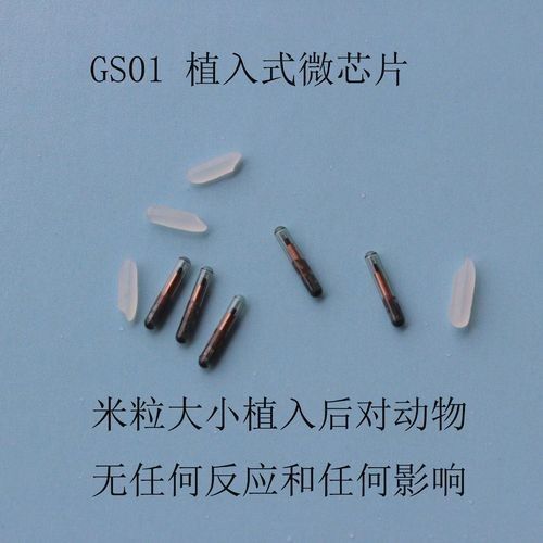 金龍魚(yú)芯片注射費(fèi)用是多少？（金龍魚(yú)芯片注射費(fèi)用）
