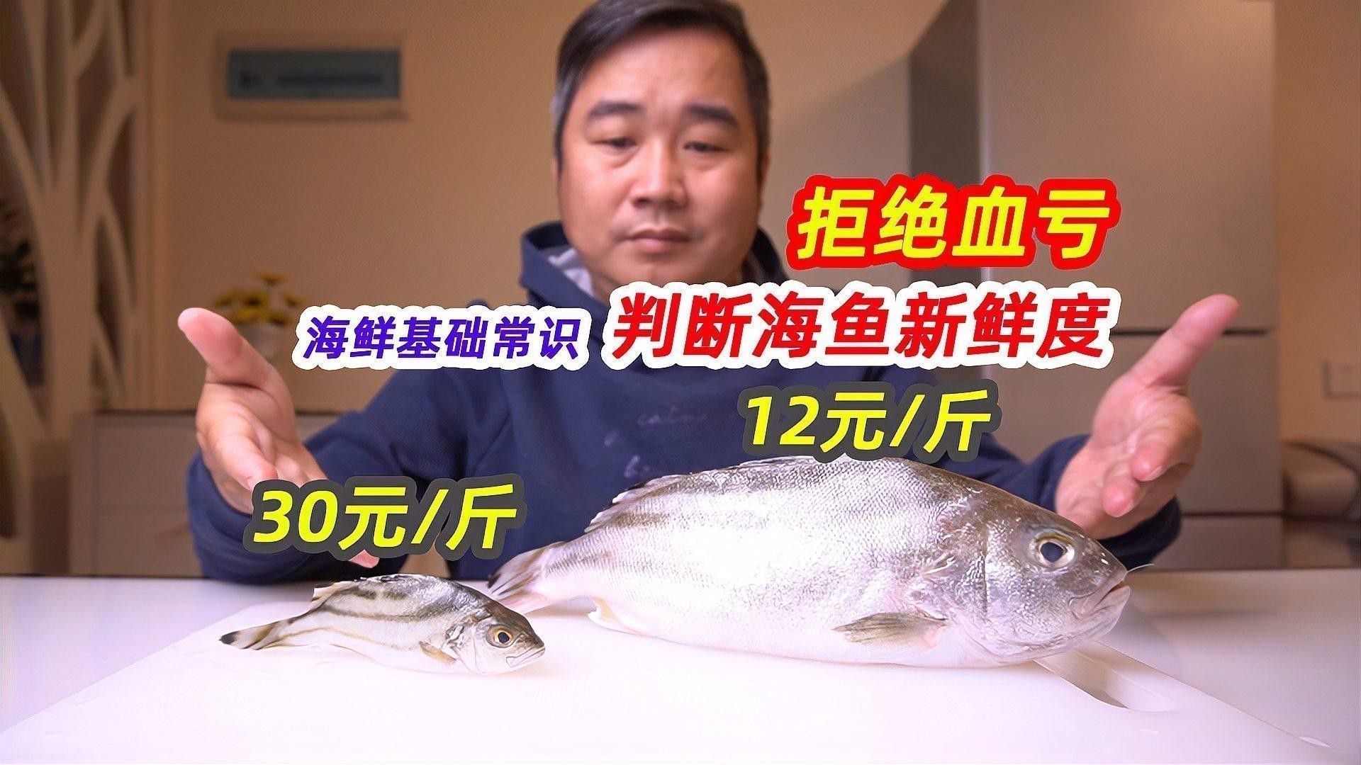 如何判斷魚肉是否新鮮（丨名醫番茄健康小課堂魚肉是否新鮮度） 如何判斷魚肉是否新鮮（丨名醫番茄健康小課堂魚肉是否新鮮度） 龍魚百科 第2張