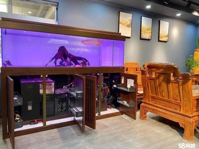如何聯系邯鄲凱龍魚缸維修店（邯鄲凱龍魚缸維修店）