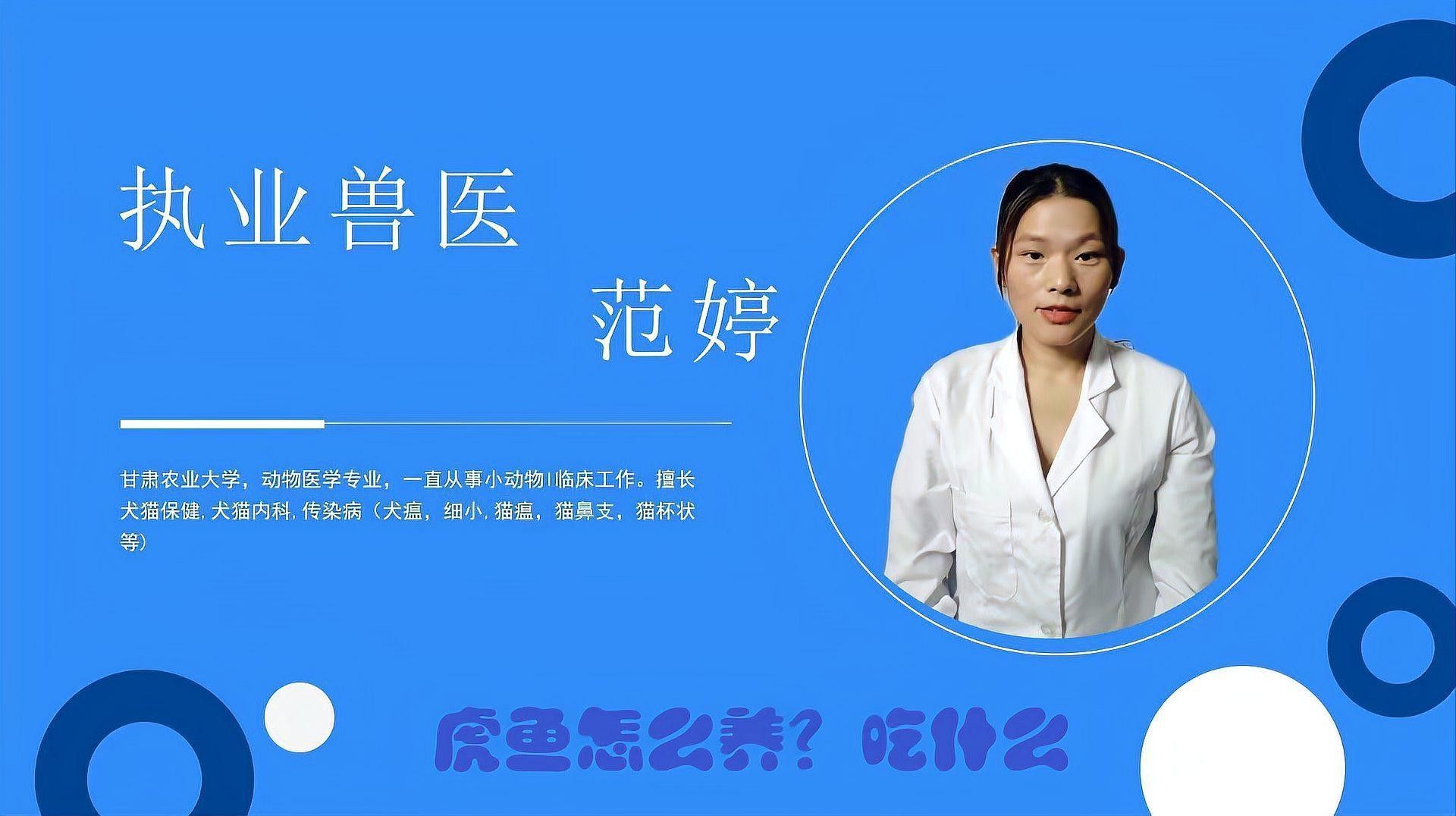 如何保持龍魚和虎魚的水溫穩定（養魚指南|龍魚和虎魚的混養方法）