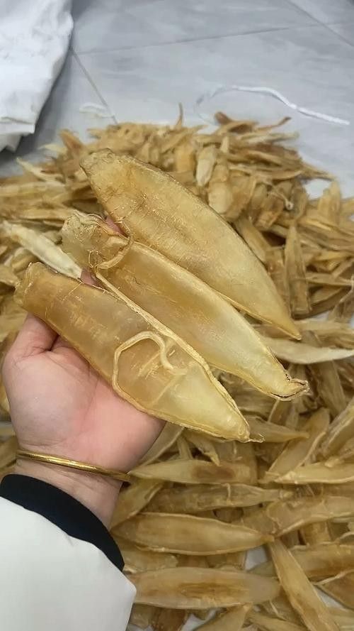 4頭大金龍魚膠的價格是多少？（4頭大金龍魚膠價格是多少） 4頭大金龍魚膠的價格是多少？（4頭大金龍魚膠價格是多少） 龍魚百科 第6張