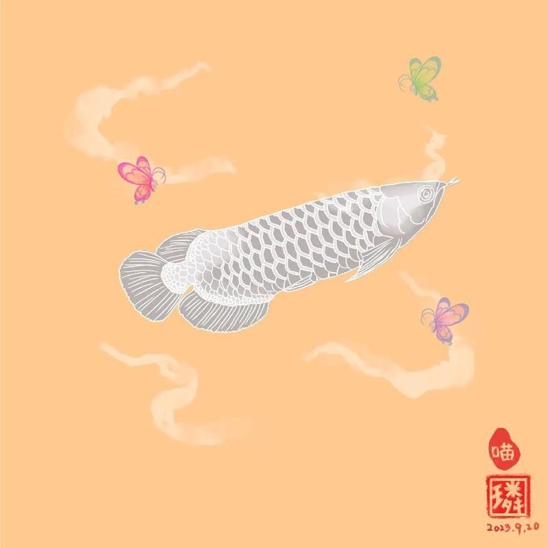 給我推薦一些紅龍魚卡通形象（紅龍魚卡通形象設計）