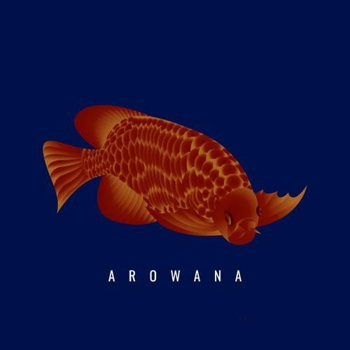 給我推薦一些紅龍魚卡通形象（紅龍魚卡通形象設計）