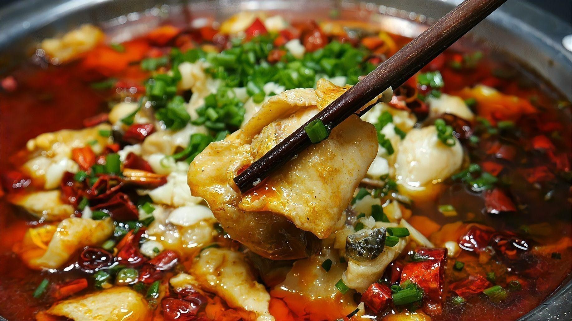 哈爾濱哪家龍魚店口碑最好（哈爾濱口碑較好的龍魚店） 哈爾濱哪家龍魚店口碑最好（哈爾濱口碑較好的龍魚店） 龍魚百科 第9張