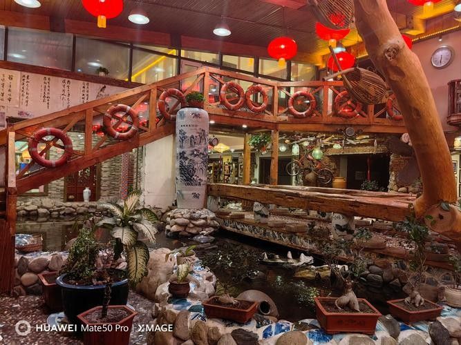 哈爾濱哪家龍魚店口碑最好(哈爾濱口碑較好的龍魚店) 龍魚百科 第2張 哈爾濱哪家龍魚店口碑最好(哈爾濱口碑較好的龍魚店) 哈爾濱哪家龍魚店口碑最好(哈爾濱口碑較好的龍魚店) 龍魚百科 第2張