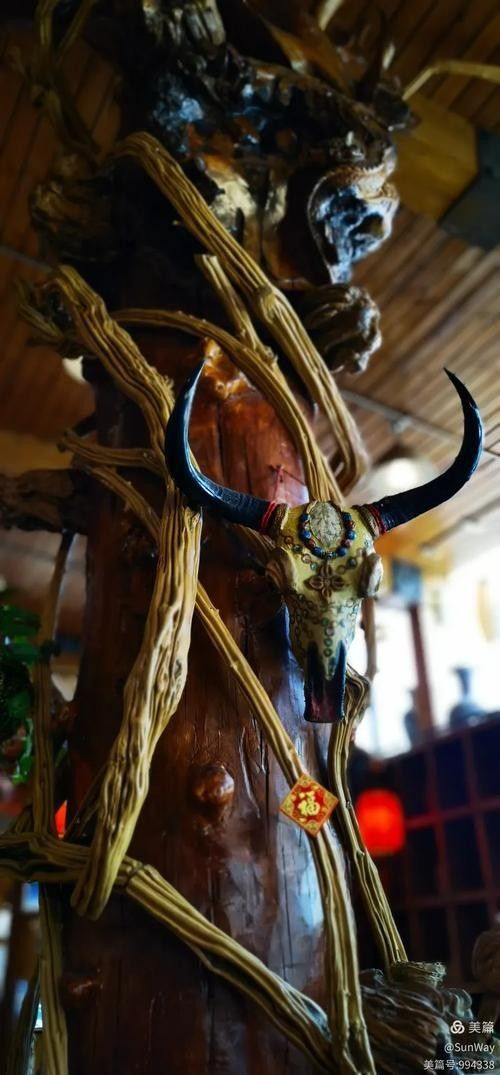 哈爾濱哪家龍魚店口碑最好(哈爾濱口碑較好的龍魚店) 龍魚百科 第3張 哈爾濱哪家龍魚店口碑最好(哈爾濱口碑較好的龍魚店) 哈爾濱哪家龍魚店口碑最好(哈爾濱口碑較好的龍魚店) 龍魚百科 第3張