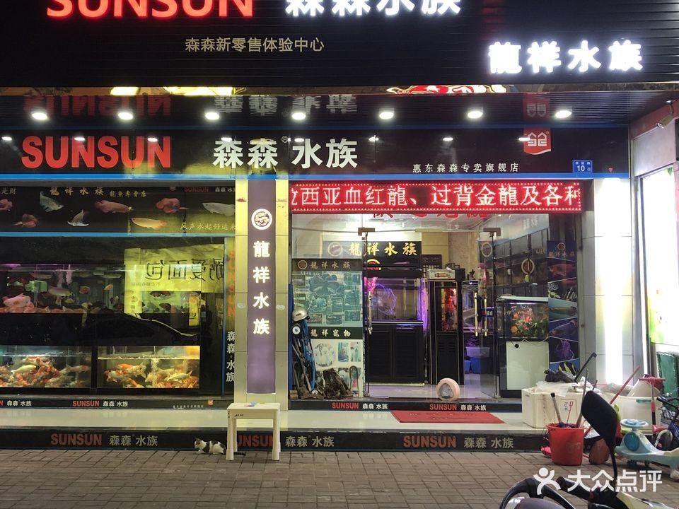惠州還有哪些賣六角龍魚的地方（惠州有哪些賣六角龍魚的地方線上批發六角龍魚有哪些注意事項） 惠州還有哪些賣六角龍魚的地方（惠州有哪些賣六角龍魚的地方線上批發六角龍魚有哪些注意事項） 龍魚百科 第2張