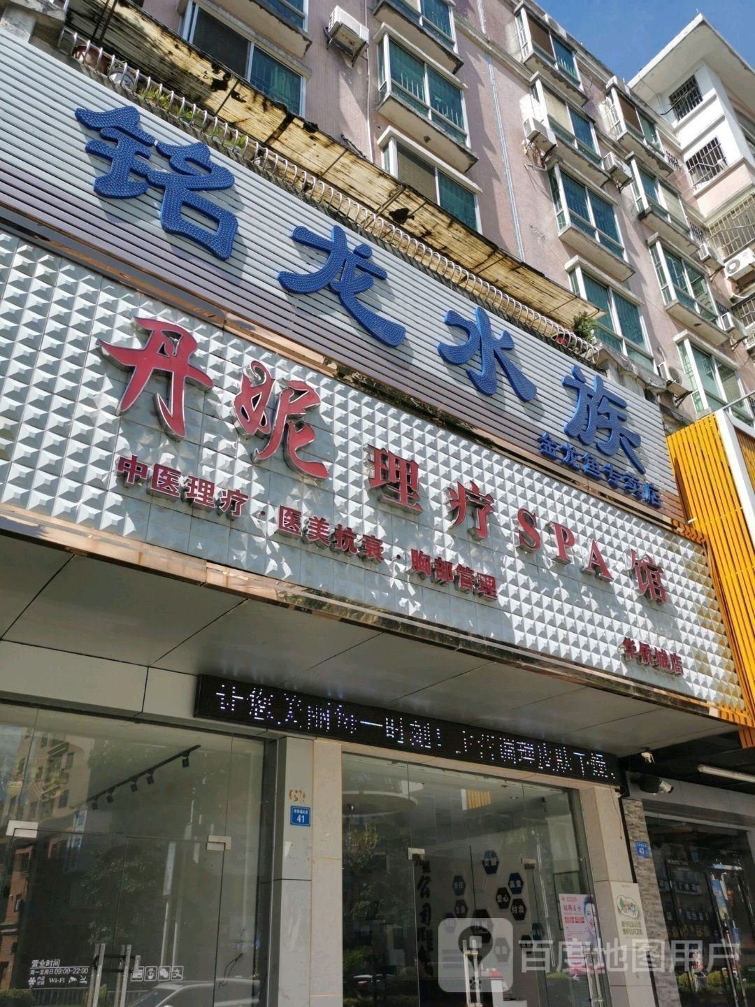 惠州還有哪些賣六角龍魚的地方（惠州有哪些賣六角龍魚的地方線上批發六角龍魚有哪些注意事項） 惠州還有哪些賣六角龍魚的地方（惠州有哪些賣六角龍魚的地方線上批發六角龍魚有哪些注意事項） 龍魚百科 第1張
